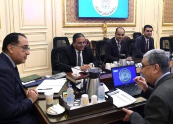 وزير الكهرباء: 1625 ميجا وات إجمالي القدرات المركبة من طاقة الرياح