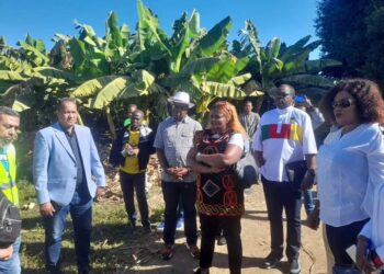 وفد من الكاميرون وبرنامج الأغذية العالمي يزور عدد من أنشطة الحماية المجتمعية بالأقصر …