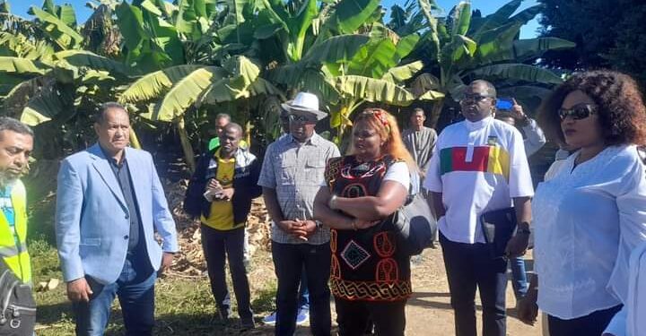 وفد من الكاميرون وبرنامج الأغذية العالمي يزور عدد من أنشطة الحماية المجتمعية بالأقصر …