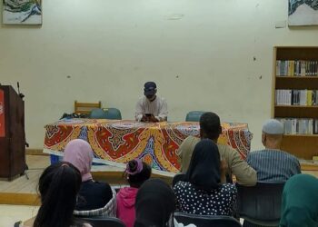 الأقصر تحتفى باليوم العالمي للقضاء على العنف ضد المرأة