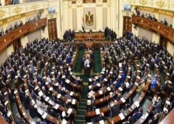 اليوم النواب يوافق على منحة 300جنيه للعاملين بقطاع الأعمال العام والعام بقلم أسامة خليل