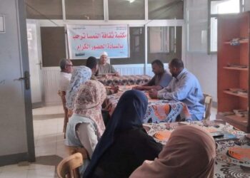 “الإهتمام بتعليم المرأة وثقافتها” بمكتبة النمسا بالأقصر.