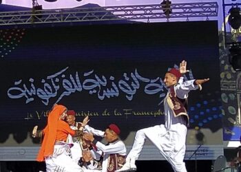 شعبية مطروح بالقمة الفرانكفونية بتونس