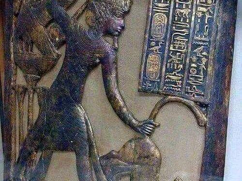 *رايج اجيب الديب من ديله