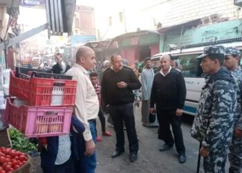 رئيس مدينة الأقصر “يشن حملة تفتيش بيئية موسعة ورفع الأتربة والتراكمات بالشوارع