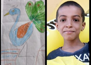 لقيت الطبطبه ،،،،