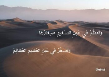 الشاعر ثروت محمود شفيق يكتب سيعود