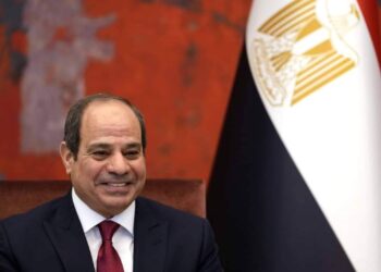 الرئيس المصري يطالب بوقف الحرب في أوكرانيا