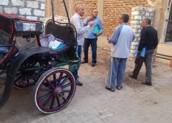 رئيس مدينة الأقصر يوجه بشن حملة تفتيش بيئية بالمدينة بعد شكوى احد المواطنين من روث الخيول