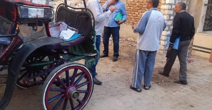 رئيس مدينة الأقصر يوجه بشن حملة تفتيش بيئية بالمدينة بعد شكوى احد المواطنين من روث الخيول