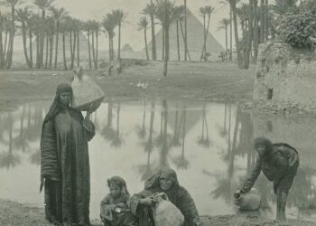 طرح النخل …