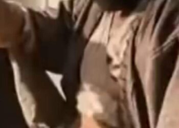 عابر سبيل بقلم الشاعر رأفت عبد العال