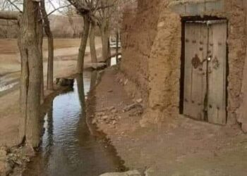 يوم من عمري