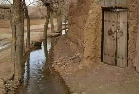 يوم من عمري