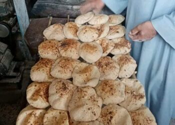 تموين الزينية بالأقصر يشن عدة حملات تموينية لضبط الأسواق خلال شهر نوفمبر الماضى