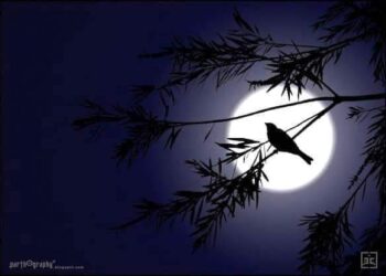 لفحة الأحباب ..