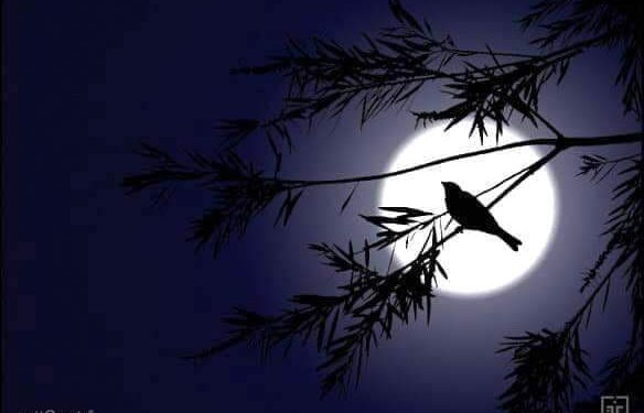 لفحة الأحباب ..