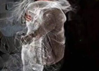 كل البضائع…