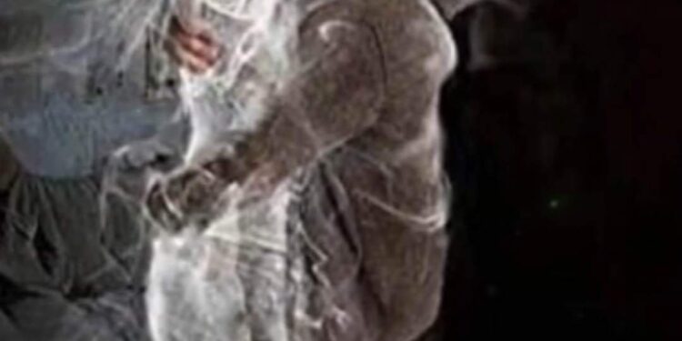 كل البضائع…