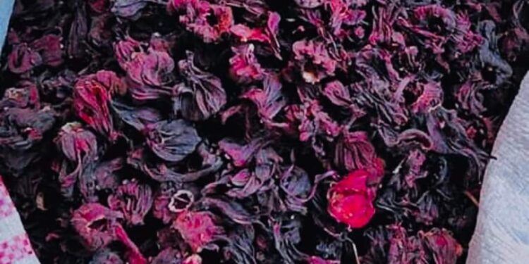 ذهب الأقصر الأحمر…