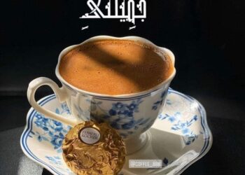 لكل عشاق القهوة …كل أنواع القهوة بالتفصيل ☕️🤎