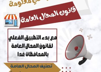 تجهيز 10مراكز إلكترونيه بجميع مراكز أسوان لتقديم خدمة التراخيص