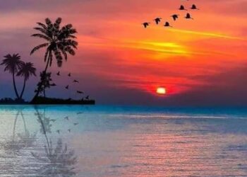 الشاعرة خديجة ماجد تكتب رياح النهاية