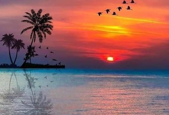 الشاعرة خديجة ماجد تكتب رياح النهاية