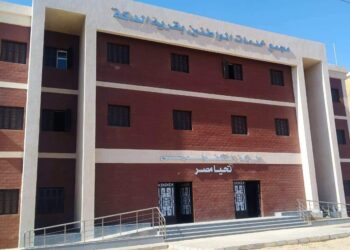 محافظ أسوان يتابع معدلات إنجاز مشروعات حياة كريمة بقرية الدكة بنصر النوبة