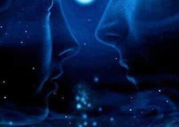 الشاعرة سهى عبد الستار تكتب نبض العروق