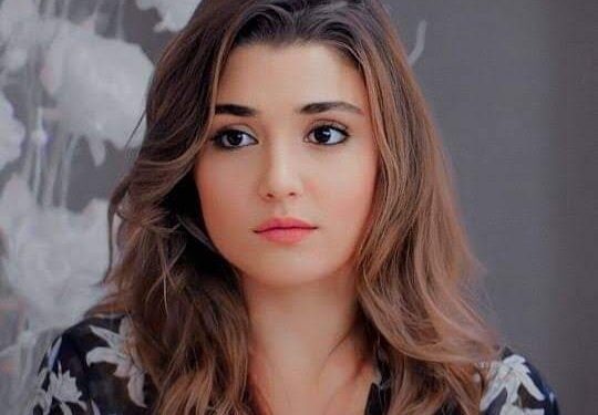 الشاعر رفعت العربي التميمي يكتب وارجع تاني