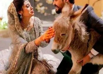 صدق ولا تستغرب.. عريس يقدم هدية غريبة لزوجته ليلة الزفاف