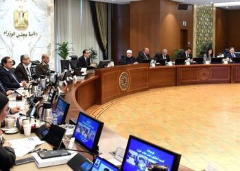 تعرف على اهم قرارات اجتماع مجلس الوزراء رقم (223)