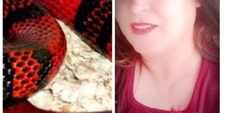 سيدةعشتار بن علي تكتب الحنش العاشق