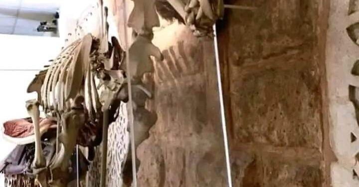 كتب  د أشرف كمال رئيس التحرير الجمل مبروك