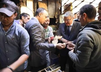 محافظ المنيا يقود حمله مكبره على المخابز بملوي…