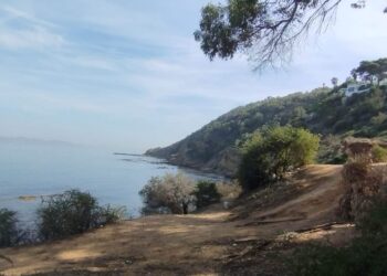 طفلة حالمة …