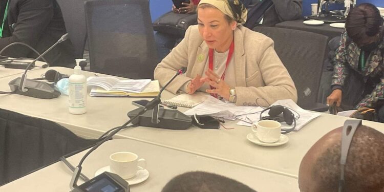 وزيرة البيئة المصرية … نطالب ربط التمويل بالإطار العالمى للتنوع البيولوجى