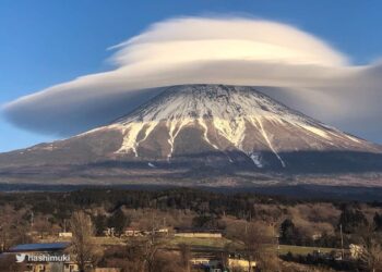 الوزير رياض نعسان أغا يكتب .. ذكريات يا بانية