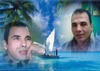 كراكيب دماغي …