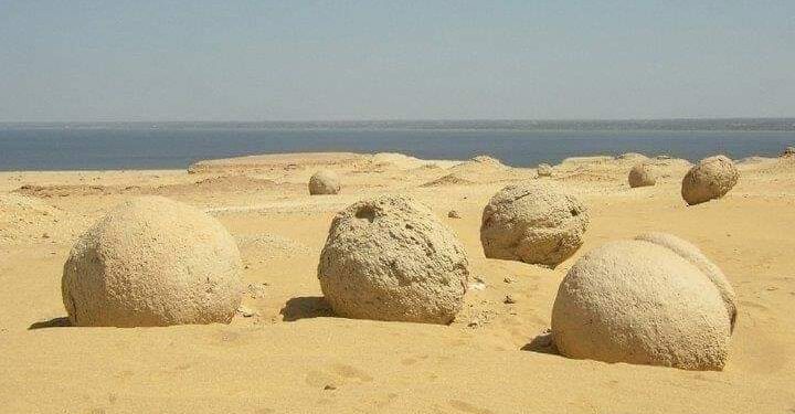 وأدى البطيخ …