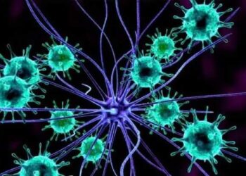 اكتشاف بكتيريا في الأمعاء تحمي المريض من عواقب النوبة القلبية