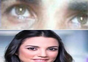 كراكيب دماغي     الشاعرطاهر الصوفانى