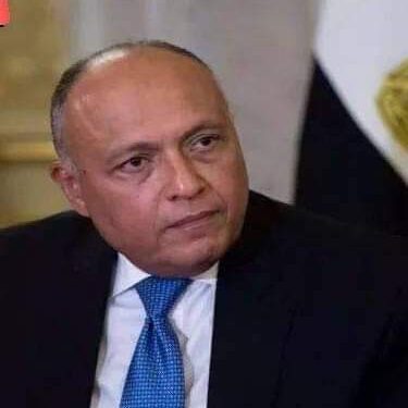 وزارة الخارجية.. مصر تحتفل باليوم العالمي للمهاجر