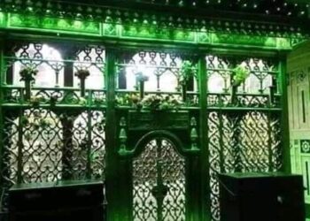 شايف على سطحك شجر