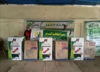 تكافؤ الفرص بالأقصر  تشارك في توزيع مجموعة من الأجهزة الكهربائية والمنزلية على الفتيات اليتيمات