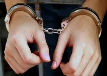 صدق ولا تستغرب.. امرأة متهمة بـ175 قضية سرقة