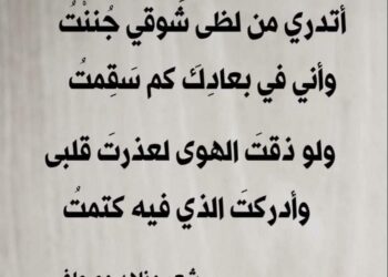 أَتدري من لظَى شَوقي جُنِنْتُ