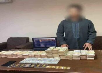 ضبط شخصين لبثهما أفلام ومحتويات مقرصنة عبر ٥ مواقع إلكترونية