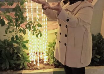 أغاني الشتاء